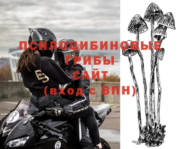 не бодяженный Беломорск