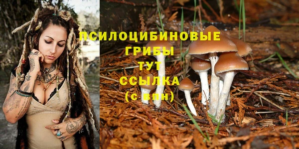 jwh Белокуриха