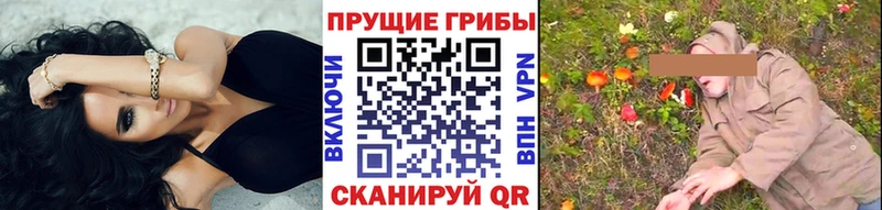 наркотики  Петрозаводск  MEGA рабочий сайт  Псилоцибиновые грибы мицелий 